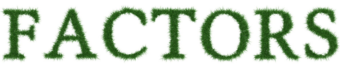 Factors - 3D rendering fresh Grass letters isolated on whhite background.