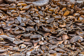 Pile of firewood