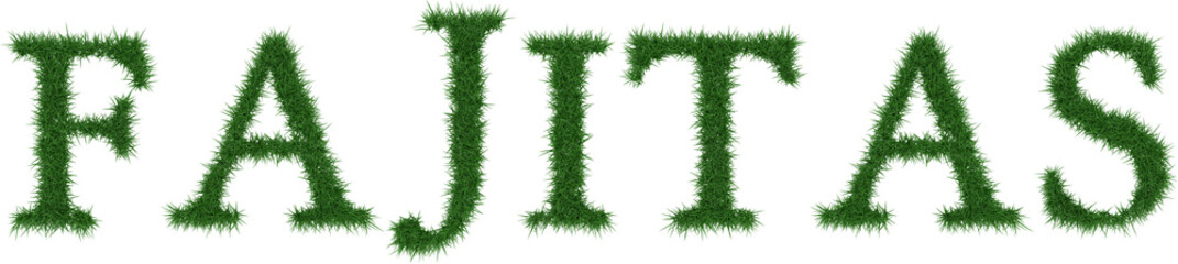 Fajitas - 3D rendering fresh Grass letters isolated on whhite background.