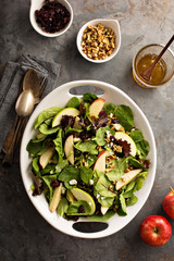 Fall salad with spring mix, apple and cranberry