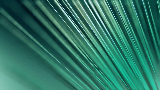 Close up vector 3D palm leaf in relaxing animation loop. 4K slow motion background.