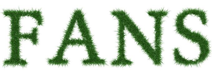 Fans - 3D rendering fresh Grass letters isolated on whhite background.