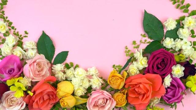 4k Springtime overhead flat lay display of fresh roses and jonquil buds on pink wood table background, with copy space, real time.