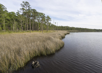 Tarkiln Bayou at Perdido Bay in Florida