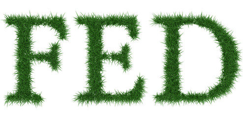Fed - 3D rendering fresh Grass letters isolated on whhite background.