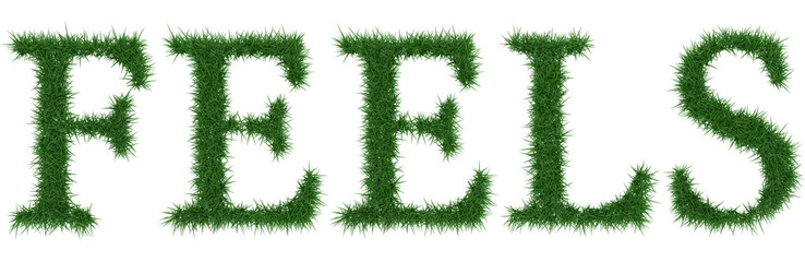 Feels - 3D rendering fresh Grass letters isolated on whhite background.