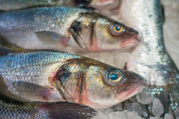Fresh fishes over a pile of ice, on harbour in Port d Andratx on Mallorca, Spain