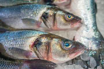 Fresh fishes over a pile of ice, on harbour in Port d Andratx on Mallorca, Spain