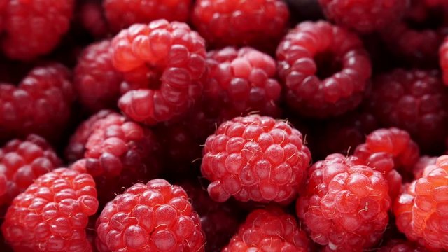 Fresh raspberry fruits as food background. Healthy food organic nutrition. View from above. Dolly slider shot 4K ProRes HQ codec