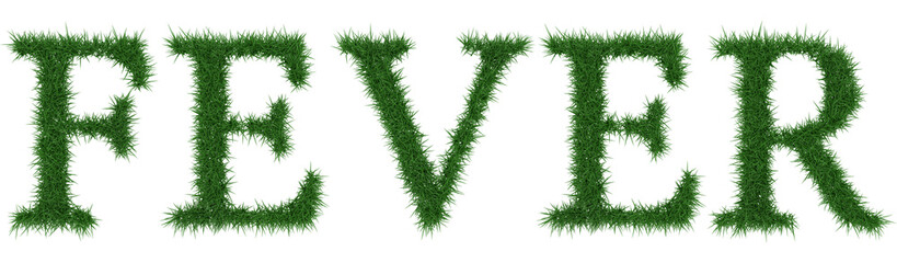 Fever - 3D rendering fresh Grass letters isolated on whhite background.