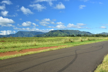 Fototapeta na wymiar Road with crossed tire tracks in Kawai, Hawaii wirh mountains in the distance.