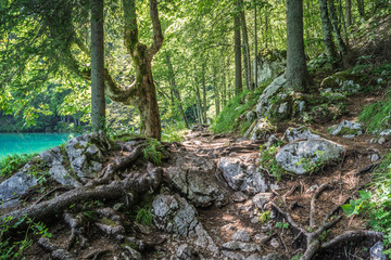 Wandersteig