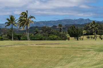 Partial view of the golf course, with palm trees, and mountains in the background, at  Kukuiolono Park and Golf Course, in Kalaheo, Kauai