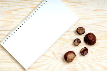 notepad with chestnuts on white wooden planks, autumn card template