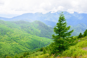 Fototapeta na wymiar 高原の風景、長野県、美ヶ原高原。