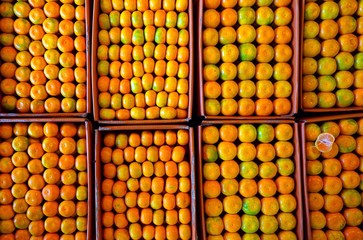 Crates of Jeju mandarin tangerines at a farmers market in South Korea