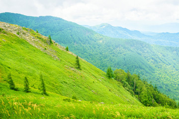 Fototapeta premium 高原の風景、長野県、美ヶ原高原。
