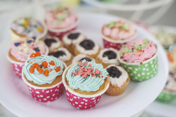 cupcakes topview