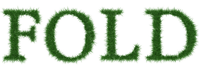 Fold - 3D rendering fresh Grass letters isolated on whhite background.