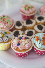 cupcakes topview