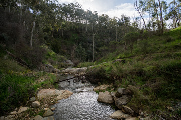 Creek with flowing water at Morialta conservation park