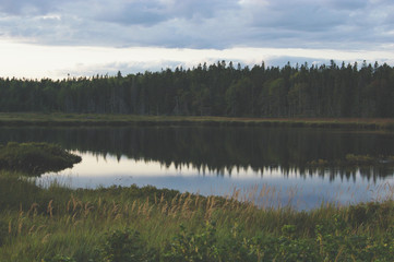 Fototapeta na wymiar Calm water in Maine