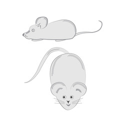 Funny characters mouse vector illustration, isolated on white background. Cute wild animals, a symbol of wild nature in cartoon style.