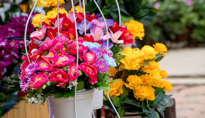 Colorful Flower in the White pot and green plant background