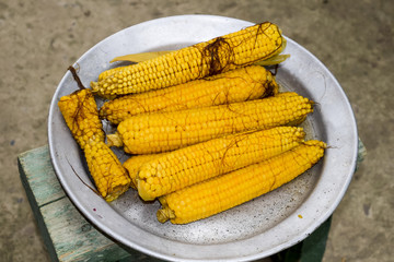 Boiled corn on an aluminum tray. Yellow boiled young corn, useful and tasty food