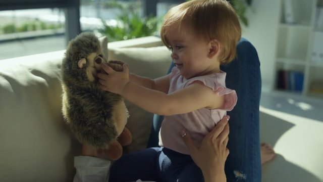 Lovely girl playing with a hedgehog on the sofa