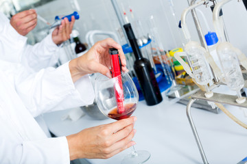 Fototapeta premium Wine being checked on component saturation in laboratory