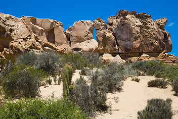 Formations of stones in Ischigualasto Park