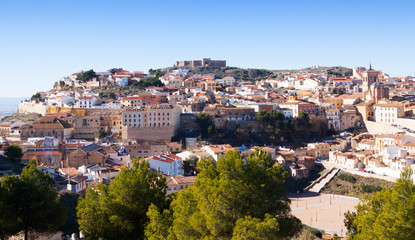 Fototapeta na wymiar Chinchilla with castle at hill. Albacete