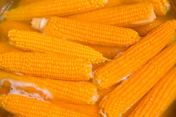 corn boiling in pot