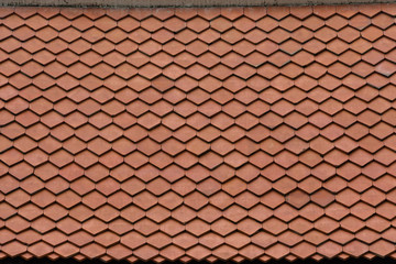 Roof Pattern In Park.