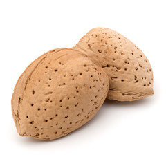 Almond nut in shell isolated on white background close up