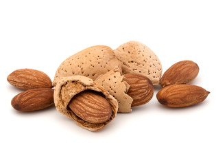 Almond nut in shell and shelled isolated on white background close up