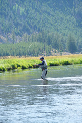 Fototapeta na wymiar Fly-fisherman fishing in Madison river, Yellowstone Park