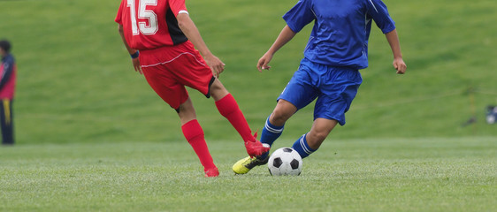 Fototapeta premium サッカー フットボール