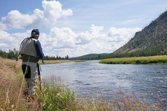 Fly fisherman fishing in Madison river, Yellowstone park