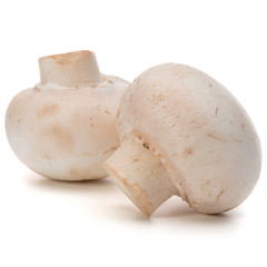 Champignon isolated on white background cutout