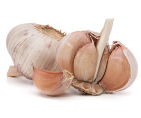 Garlic bulb isolated on white background cutout
