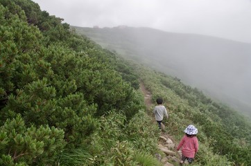 Fototapeta premium 霧の山道を歩く子供