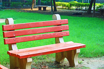 bench of a park