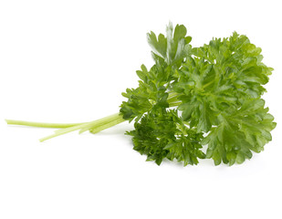 fresh parsley herb  leaves isolated on white background cutout