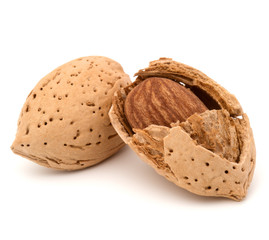 Almond nut in shell and shelled isolated on white background close up