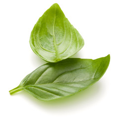 Sweet basil herb leaves isolated on white background closeup