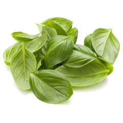 Sweet basil herb leaves handful isolated on white background closeup