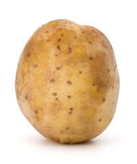 new potato tuber isolated on white background cutout