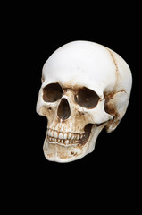 Human skull on a black background.
